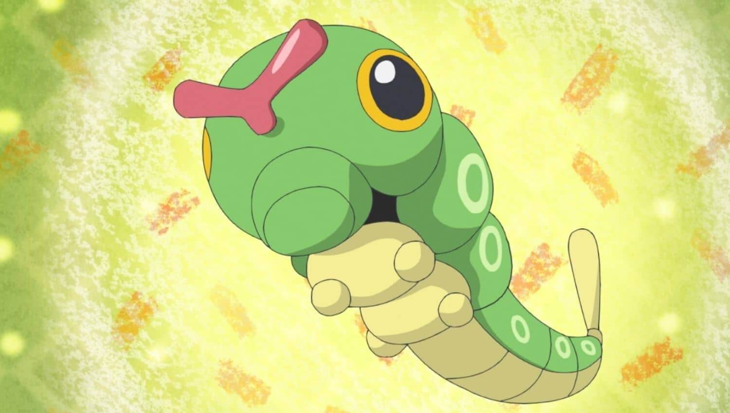 Caterpie